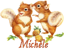 squirrel-20117
