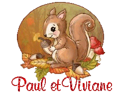 squirrel-25105