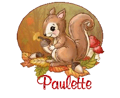 squirrel-25105