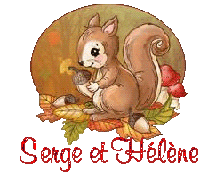 squirrel-25105