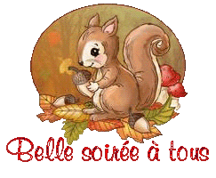 squirrel-25105