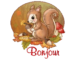 squirrel-25105