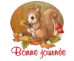 squirrel-25105