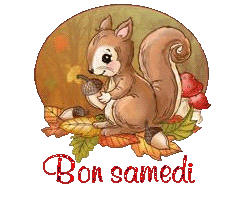 squirrel-25105
