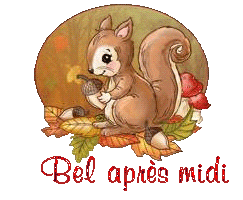 squirrel-25105