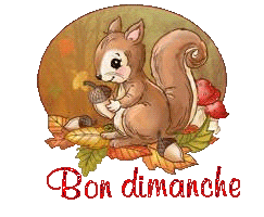 squirrel-25105