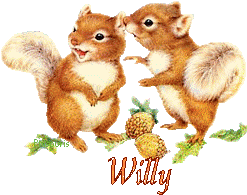 squirrel-20117