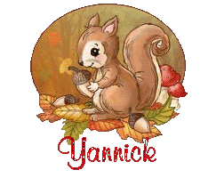 squirrel-25105