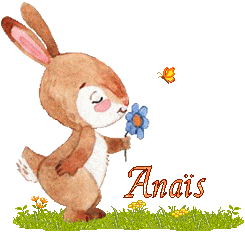 lapin-2066