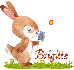 lapin-2066