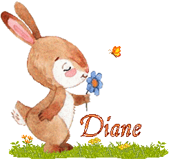 lapin-2066