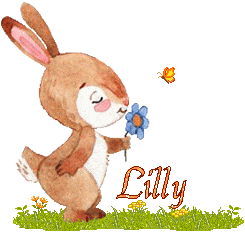 lapin-2066