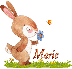 lapin-2066