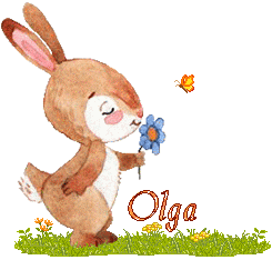 lapin-2066