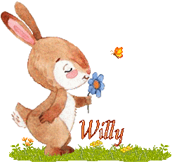 lapin-2066