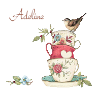 oiseau6