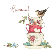 oiseau6