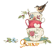 oiseau6