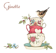 oiseau6