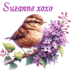 25072
