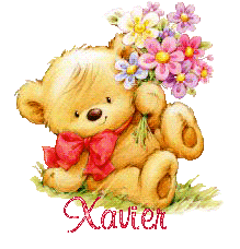 ourson1