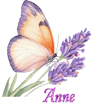 papillons-25050