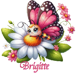 papillons-25039