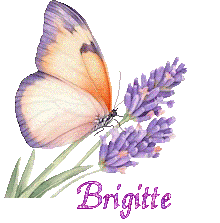 papillons-25050