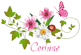 papillons-23079