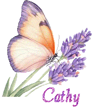 papillons-25050