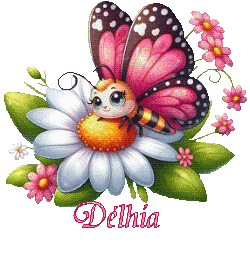 papillons-25039