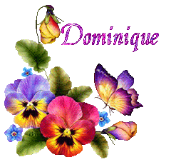 papillons-22051
