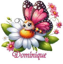 papillons-25039