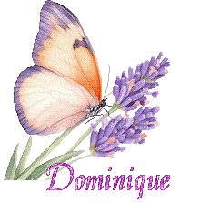papillons-25050
