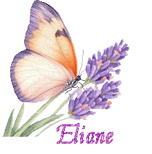 papillons-25050
