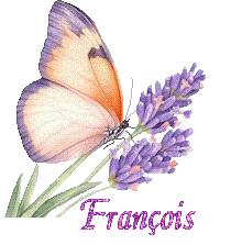 papillons-25050