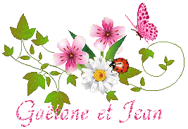 papillons-23079