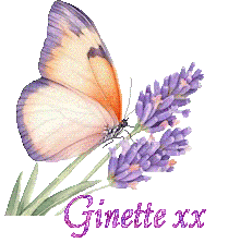 papillons-25050