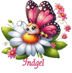 papillons-25039