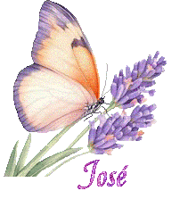 papillons-25050