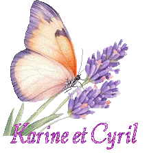papillons-25050