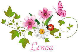 papillons-23079