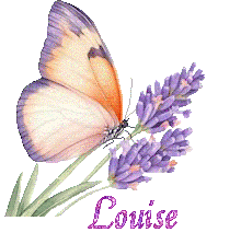 papillons-25050