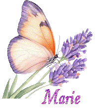 papillons-25050