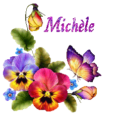 papillons-22051