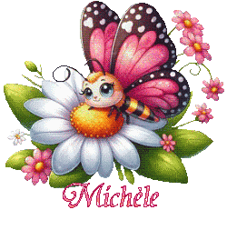 papillons-25039