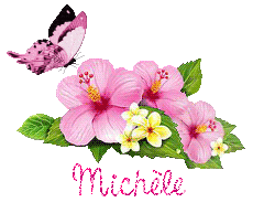 papillons-25071
