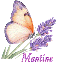 papillons-25050