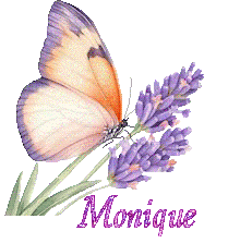papillons-25050