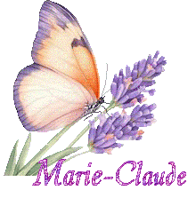papillons-25050
